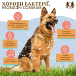 Вітамінний комплекс з пробіотиком SuperFlora Probiotic Natural Dog Company, 45 шт