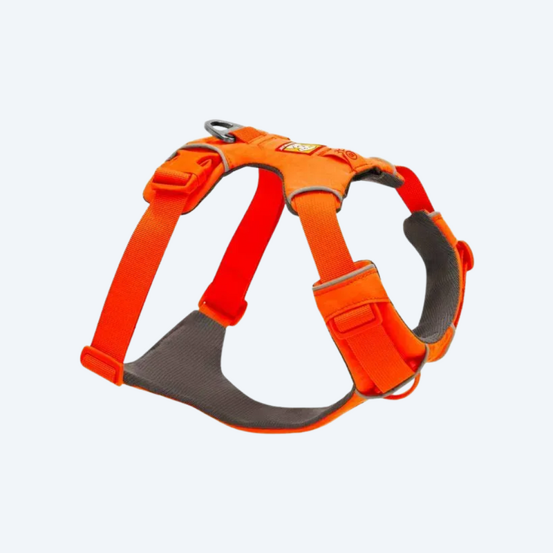 Повсякденна шлейка для собак Ruffwear Front Range® помаранчевий