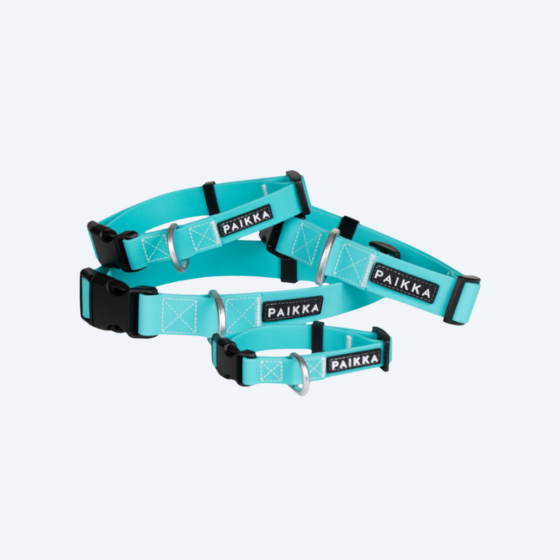 Нашийник для собак Glow Collar Aqua Paikka