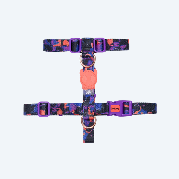 Шлей для собак светоотражающий Zee.Dog - Nox Sidus 