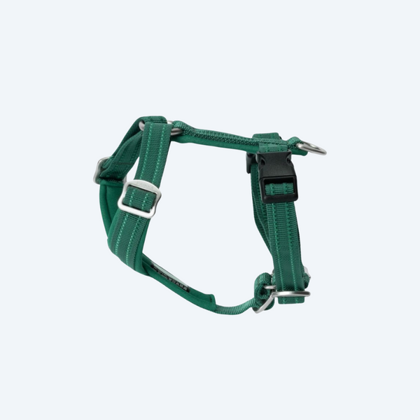Шлея для собак Easy Harness Emerald Paikka