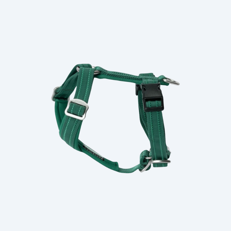 Шлея для собак Easy Harness Emerald Paikka