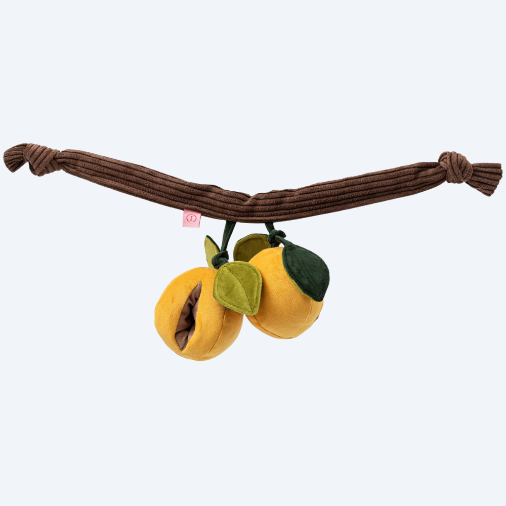 Пошукова м’яка іграшка для собак Абрикоси Harley&Cho