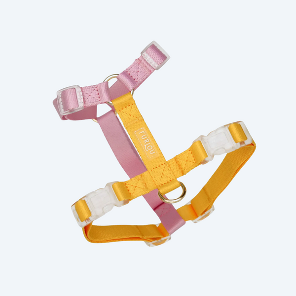 Шлея для собак FURLOU Rose and Yellow