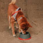 Меламінова миска Zee.Dog — Reebok Suede