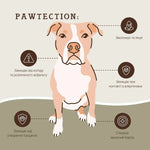 Бальзам для захисту лап Paw Tection Natural Dog Company