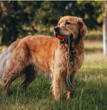 Іграшка м'ячик на мотузці для собак Beco Pets Slinger Ball Помаранчевий