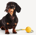 Іграшка м'ячик на мотузці для собак Beco Pets Slinger Ball Жовтий