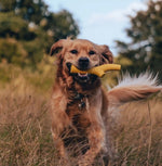 Іграшка з отвором для ласощів для собак Beco Pets Super Stick Помаранчевий