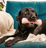 Жувальна іграшка з отвором для ласощів для собак Beco Pets Treat Bone Рожевий