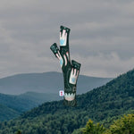 Галузка