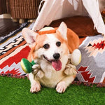 Плюшева іграшка з мотузкою для собак HugSmart – Тост з авокадо та яйцем