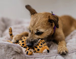 Іграшка для собак Africa Big Five - Leopard Pet Play