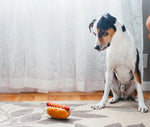 Іграшка для собак American Classic - Hot Dog Pet Play