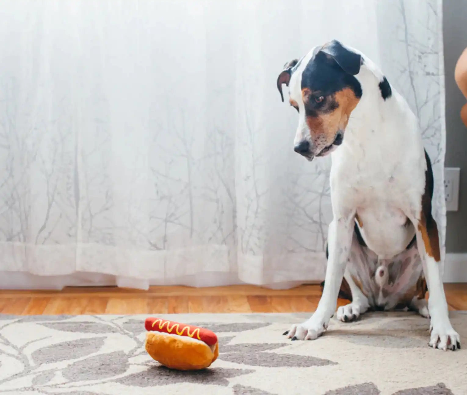 Іграшка для собак American Classic - Hot Dog Pet Play