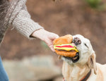 Іграшка для собак American Classie - Burger Pet Play