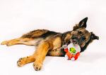 Іграшка для собак Astro Explorer Alien Buddies Pet Play