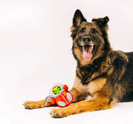 Іграшка для собак Astro Explorer Alien Buddies Pet Play