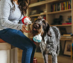 Іграшка для собак BackToSchool Collection - Beakers Pet Play