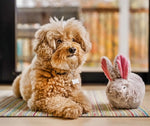 Іграшка для собак Baxter the Bunny Forest Friends Pet Play