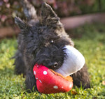 Іграшка для собак Blooming Buddies Collection - Mutt Mushroom Pet Play