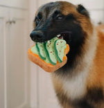Іграшка для собак Burking Brunch Collection - Ago-doggo Toast Pet Play