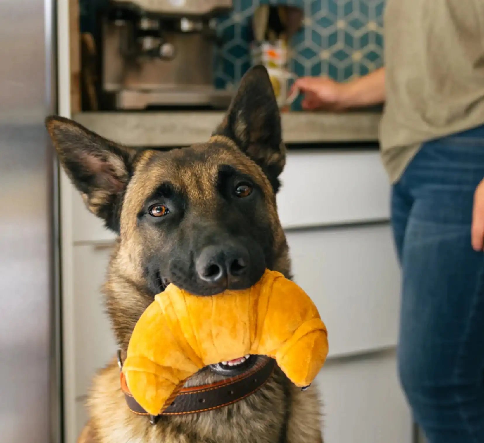 Іграшка для собак Burking Brunch Collection - Croissant Pet Play