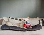 Іграшка для собак Canine Commute Collection - Lickety-Split Bus Pet Play