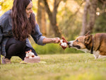 Іграшка для собак Chippy and Cheeks the Chipmunks Forest Friends Pet Play