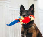 Іграшка для собак Fetching Flock Collection - Parrot Pet Play