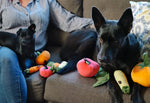 Іграшка для собак Garden Fresh Toy - Apple Pet Play
