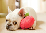Іграшка для собак Garden Fresh Toy - Apple Pet Play