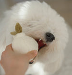 Іграшка для собак Garlic POP Lambwolf