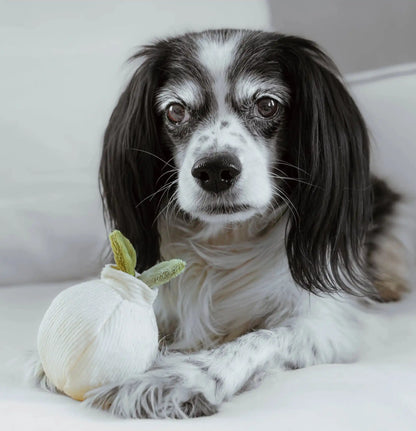 Іграшка для собак Garlic POP Lambwolf