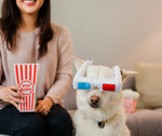 Іграшка для собак Hollywoof Cinema Collection - 3-Dog Glasses Pet Play