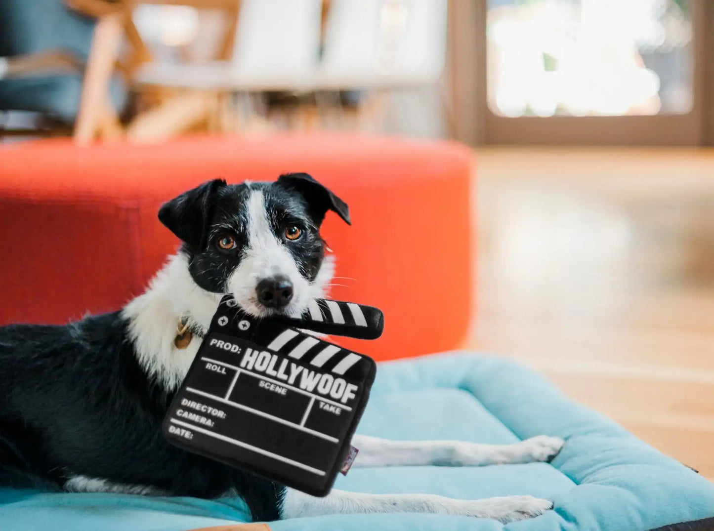 Іграшка для собак Hollywoof Cinema Collection - Doggy Director Board Pet Play