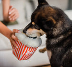 Іграшка для собак Hollywoof Cinema Collection - Poppin' Pupcorn Pet Play