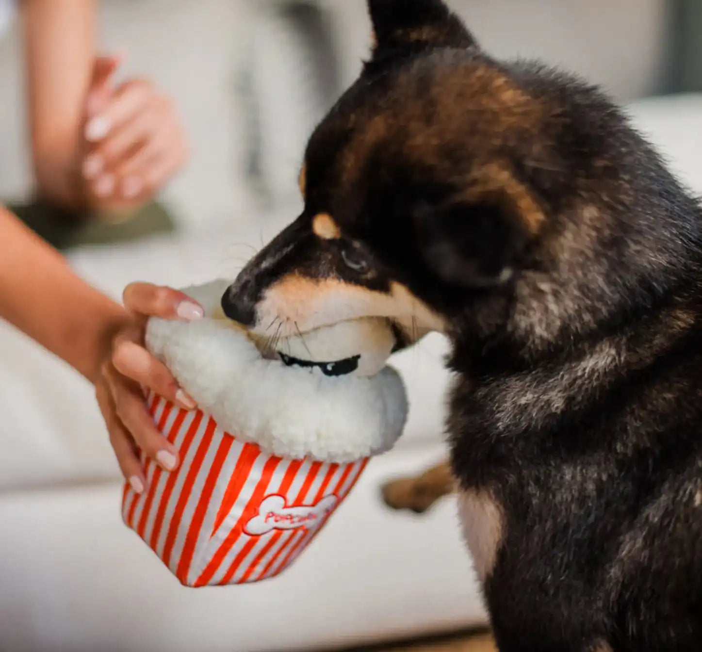 Іграшка для собак Hollywoof Cinema Collection - Poppin' Pupcorn Pet Play