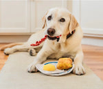 Іграшка для собак IHOP - Breakfast Stack Pet Play