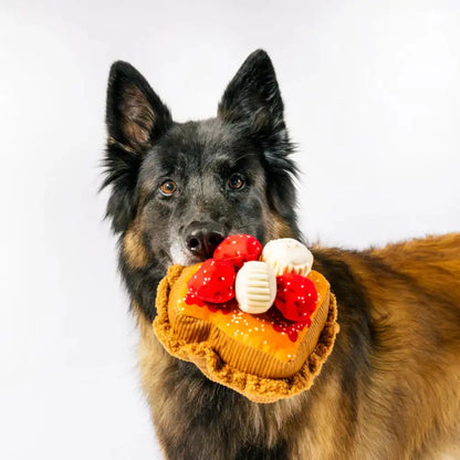Іграшка для собак IHOP - French Toast Stack Pet Play