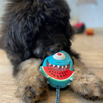 Іграшка для собак Max & Molly Snuggles Toy Bubba King
