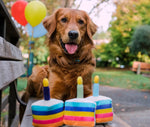 Іграшка для собак Party Time Collection - Cake Pet Play