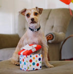 Іграшка для собак Party Time Collection - Party Present Pet Play