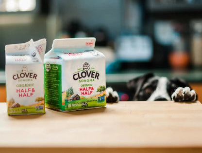 Іграшка для собак PLAY Clover Collab MilkCarton