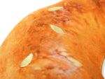 Іграшка для собак P.L.A.Y. x Earth Rated - Montreal Bagel