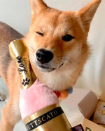 Іграшка для собак Puppy Love Collection - Barking Bubbly Pet Play