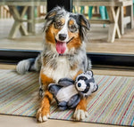 Іграшка для собак Raccoon Forest Friends Pet Play