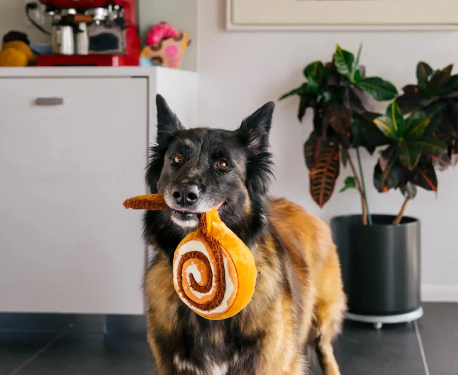 Іграшка для собак Рир Cup Cafe - Cinnabone Pet Play