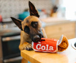 Іграшка для собак Snack Attack - Good Boy Cola Pet Play