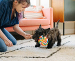 Іграшка для собак Snack Attack - Lollipup Pet Play